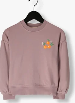 paarse z8 sweater venetia