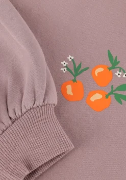 paarse z8 sweater venetia