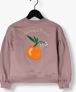 paarse z8 sweater venetia