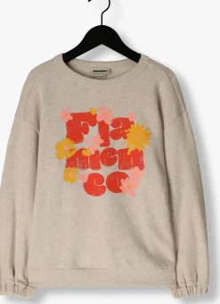 rode ammehoela sweater roxy