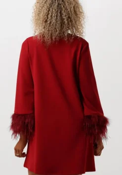 rode ana alcazar mini jurk dress feathers