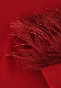 rode ana alcazar mini jurk dress feathers