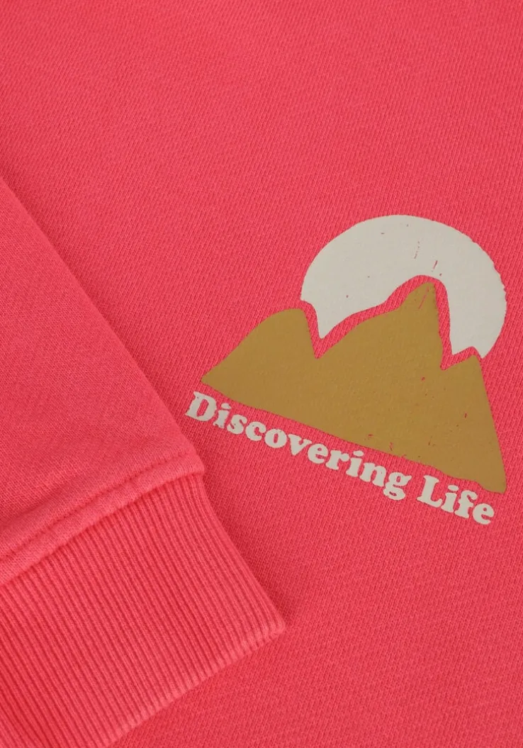 rode daily7 truien/vesten hoodie discovering life