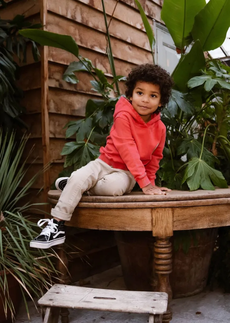 rode daily7 truien/vesten hoodie discovering life