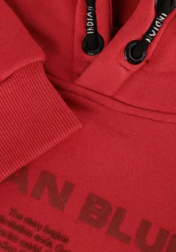 rode indian blue jeans hoodies hoodie ibjns