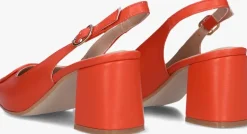 rode lina locchi slingbacks 010-150