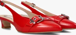 rode lina locchi slingbacks au 23