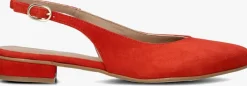 rode lina locchi slingbacks 010-72