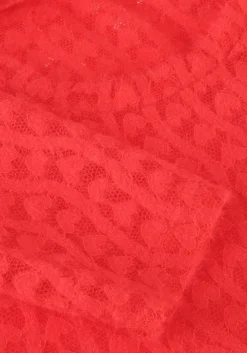 rode refined department t-shirt maya