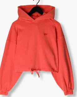 rode tommy jeans sweater tjw crp gmd script hoodie