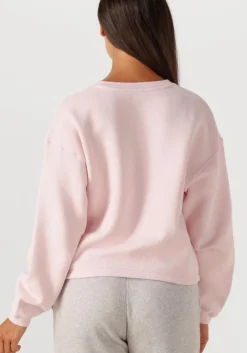 roze american vintage sweater izubird d