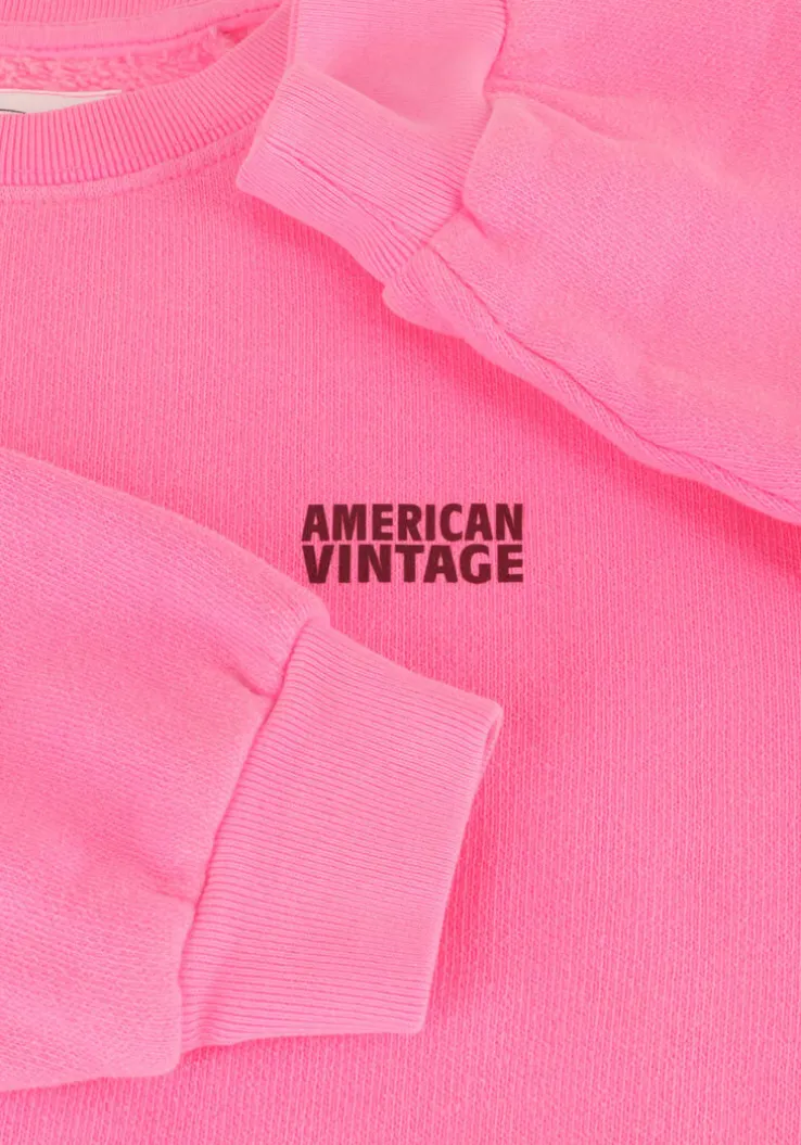 roze american vintage sweater izubird sweat