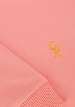 roze carlijnq sweater basic-girls ruffled sweater