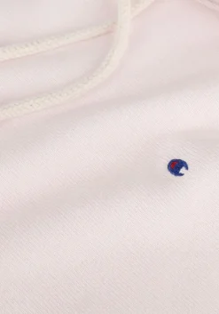 roze champion trui hooded sweatshirt dms plain