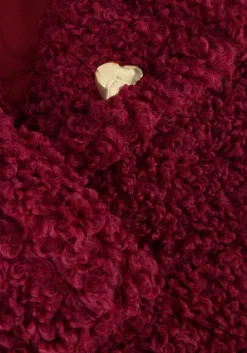 roze fabienne chapot teddy jas nicole coat