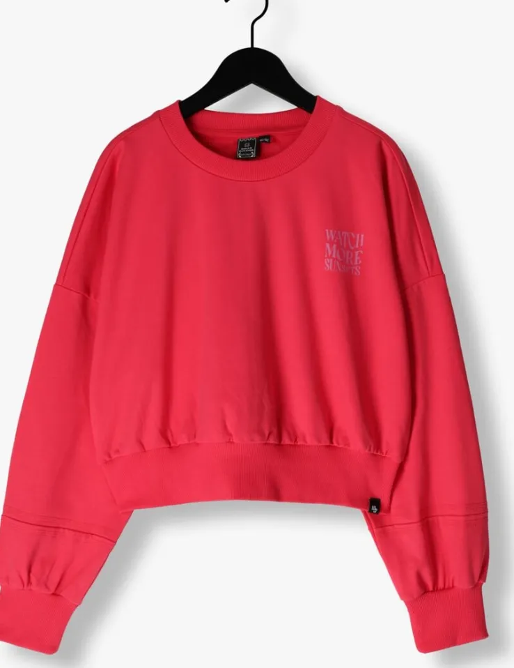 roze indian blue jeans sweater loose fit sweat backprint