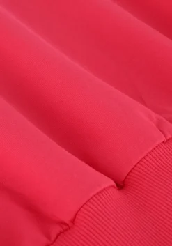 roze indian blue jeans sweater loose fit sweat backprint