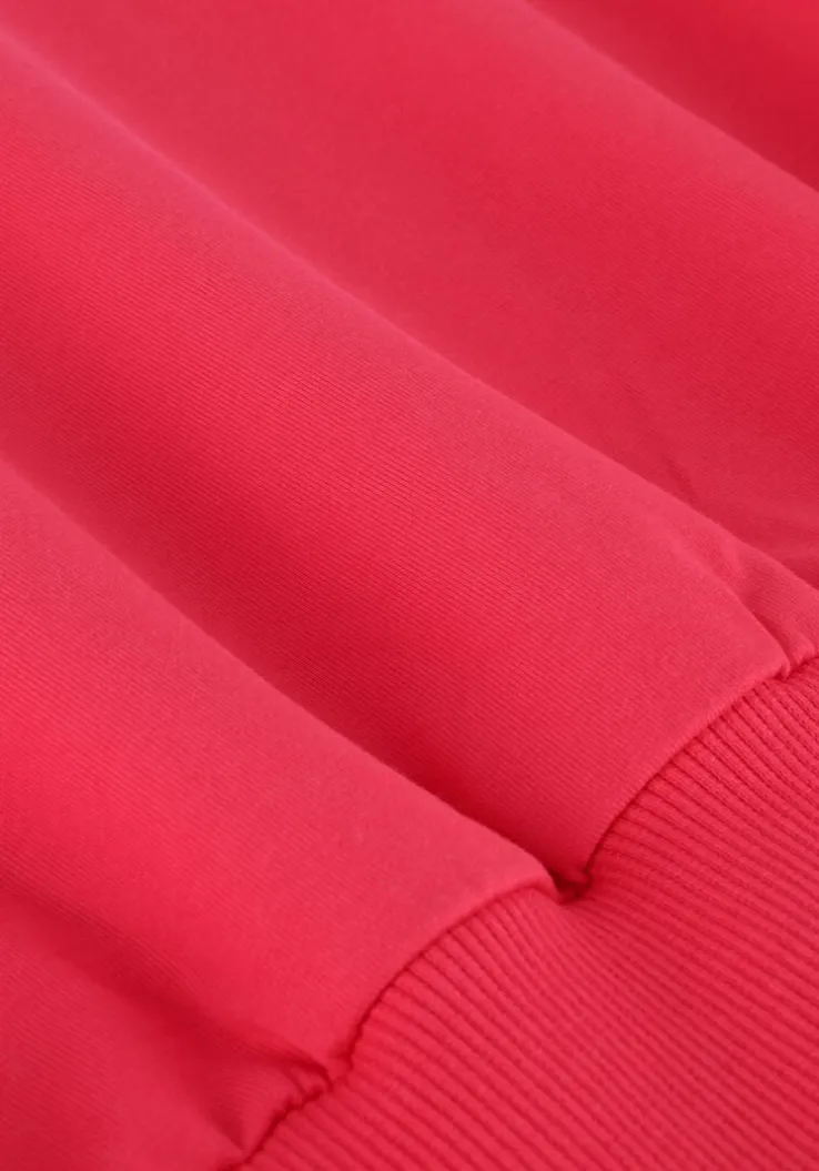 roze indian blue jeans sweater loose fit sweat backprint