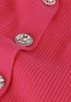 roze janice vest vic