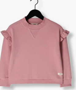 roze labo de colores sweater cua