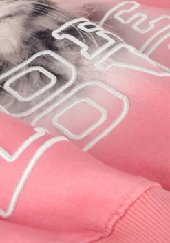 roze molo sweater monti