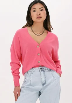 roze not shy vest juana