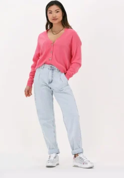 roze not shy vest juana