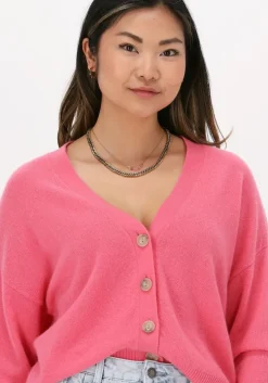 roze not shy vest juana