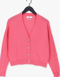 roze not shy vest juana