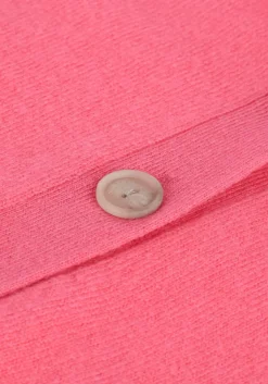 roze not shy vest juana