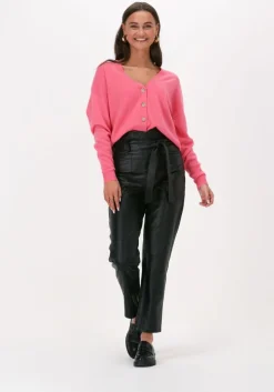 roze not shy vest juana