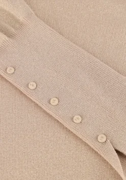 roze nukus coltrui sylvia pullover lurex