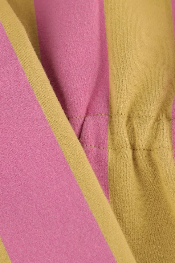 roze sproet & sprout mini jurk skater dress block stripe