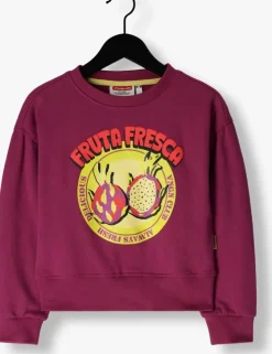 roze vingino sweater nolita