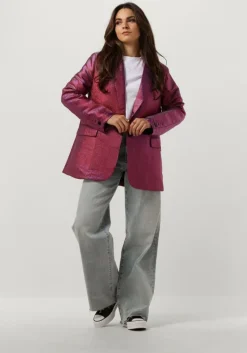 roze ydence blazer blazer paige