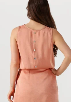 roze ydence top top marion