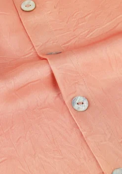 roze ydence top top marion