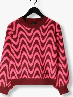 roze ydence trui knitted sweater blaise