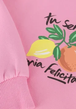 roze z8 sweater milena