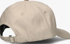 taupe malelions pet paint cap