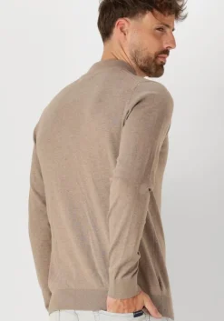 taupe saint steve coltrui ben