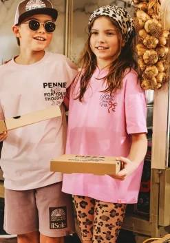 taupe z8 t-shirt silvano