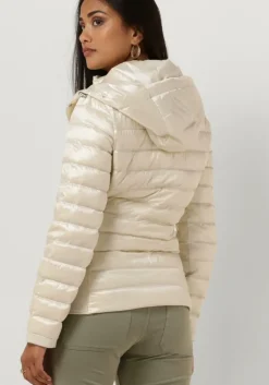 witte beaumont jack devi