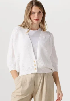 witte bellamy vest tessa