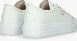 witte blackstone lage sneakers iris