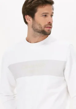 witte calvin klein sweater blocking institutional crew neck