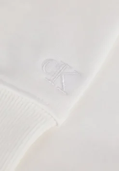 witte calvin klein sweater blocking institutional crew neck