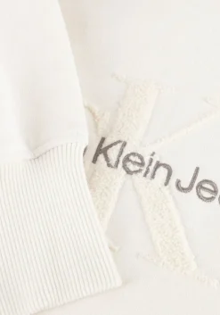 witte calvin klein sweater chenille monologo hoodie