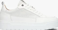 witte clay lage sneakers lpivar-18