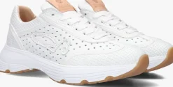 witte fred de la bretoniere lage sneakers mariola raffi